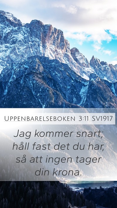 Uppenbarelseboken 3:11 SV1917 Bible Verse Image