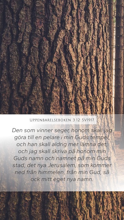Uppenbarelseboken 3:12 SV1917 Bible Verse Image
