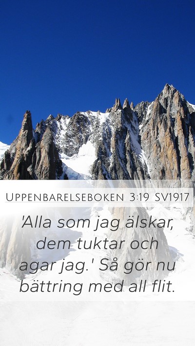 Uppenbarelseboken 3:19 SV1917 Bible Verse Image