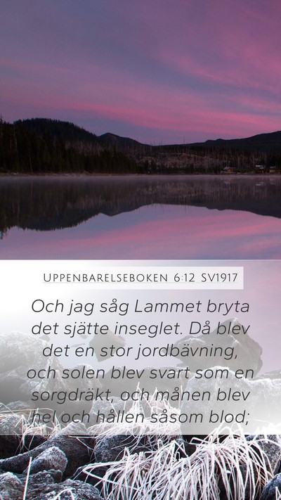 Uppenbarelseboken 6:12 SV1917 Bible Verse Image