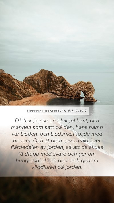 Uppenbarelseboken 6:8 SV1917 Bible Verse Image