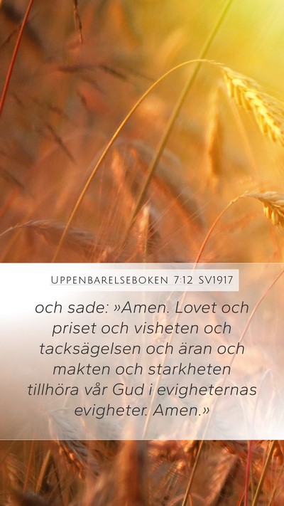 Uppenbarelseboken 7:12 SV1917 Mobile Phone Wallpaper - och sade: »Amen. Lovet och priset och visheten - Mobile Bible Verse Wallpaper