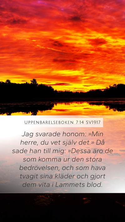 Uppenbarelseboken 7:14 SV1917 Bible Verse Image